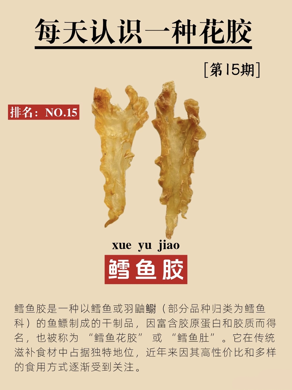 每天认识一种鱼胶：鳕鱼胶大揭秘